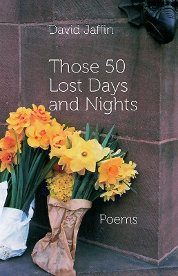 Those 50 Lost Days and Nights by David Jaffin 9781848618794