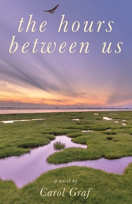 The Hours Between Us by Carol Graf 9781635051766