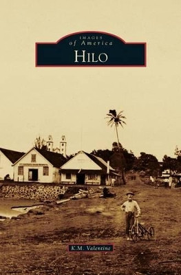 Hilo by K M Valentine 9781531675981