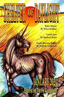 Shelter of Daylight January 2021 by Tyree Campbell 9781087942490