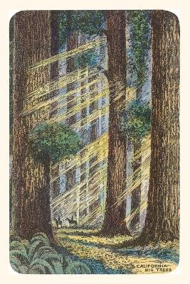 Vintage Journal Sunbeams and Redwoods by Found Image Press 9781648118029
