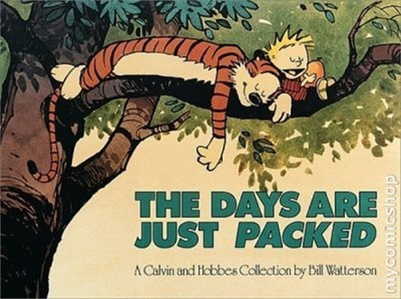 The Days Are Just Packed: Calvin & Hobbes Series: Book Twelve by Bill Watterson