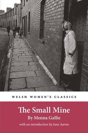 The Small Mine by Menna Gallie 9781916821163