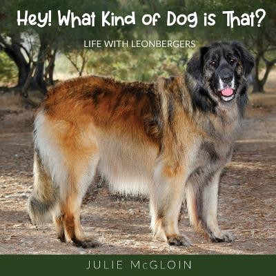 Hey! What Kind of Dog is That?: Life With Leonbergers by Julie McGloin 9781662913679