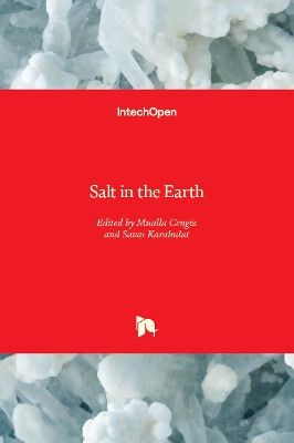 Salt in the Earth by Mualla Cengiz Çinku 9781789846348