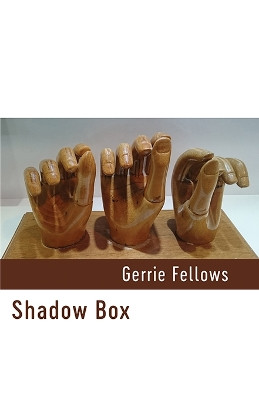 Shadow Box by Gerrie Fellows 9781848618480