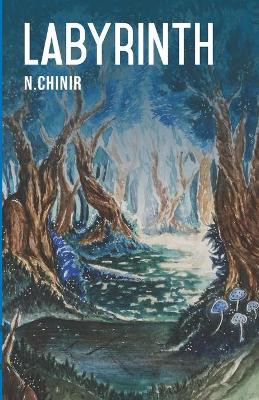 Labyrinth by N Chinir 9789354380228