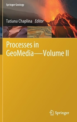 Processes in GeoMedia - Volume II by Tatiana Chaplina 9783030535209