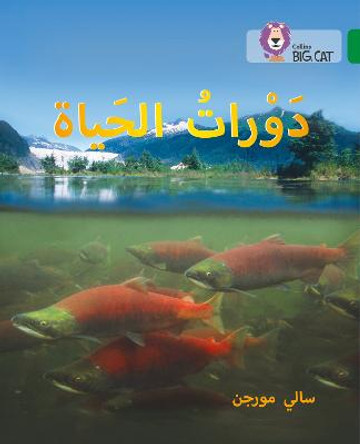 Life Cycles: Level 15 (Collins Big Cat Arabic Reading Programme) by Sally Morgan