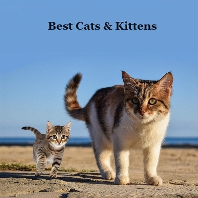 Best Cats and Kittens for Kids Book: Great Way for Children to Meet the Best Pet Cat and Kitten Breeds by Kinsey Marie 9781960612809