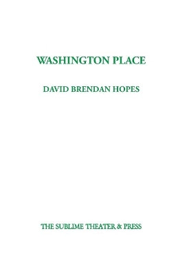 Washington Place by David Brendan Hopes 9781952720048