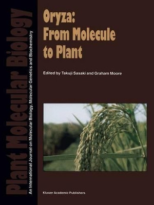 Oryza: From Molecule to Plant by Takuji Sasaki 9789401064460