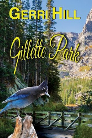 Gillette Park by Gerri Hill 9781642471335