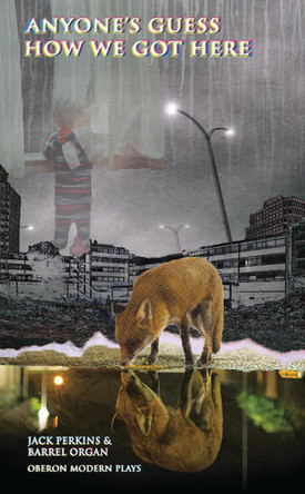 Anyone's Guess How We Got Here by Jack Perkins 9781786823403