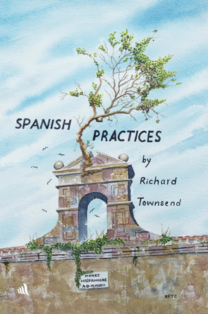 Spanish Practices by Richard Townsend 9781908291905