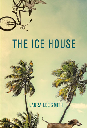 The Ice House by Laura Lee Smith 9781611854909