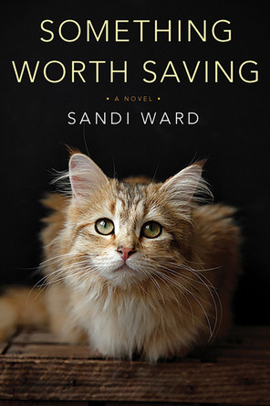 Something Worth Saving by Sandi Ward 9781496711137