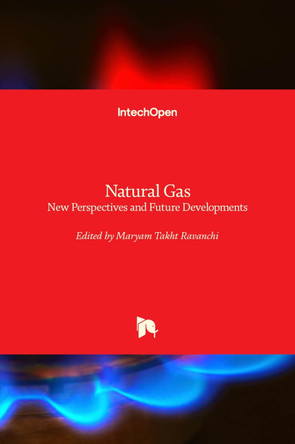 Natural Gas: New Perspectives and Future Developments by Maryam Takht Ravanchi 9781789855036