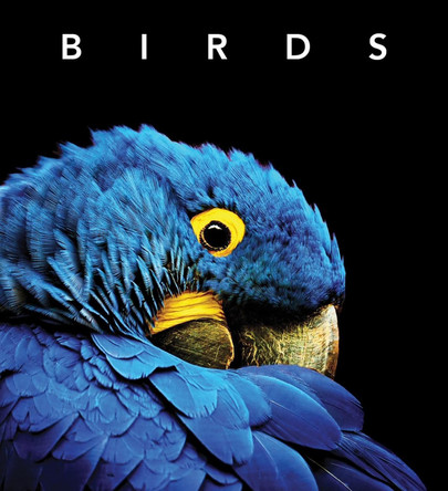 Birds: Deluxe Series by Simon Papps 9781925546699