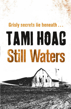 Still Waters by Tami Hoag 9781409121497