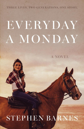 Everyday A Monday by Stephen Barnes 9781838595517