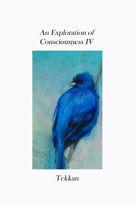An Exploration of Consciousness IV by Tekkan 9781736353745