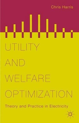 Utility and Welfare Optimization: Theory and Practice in Electricity by Chris Harris 9781137384805