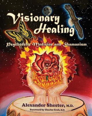 VISIONARY HEALING Psychedelic Medicine and Shamanism by Alexander Shester 9781587906343