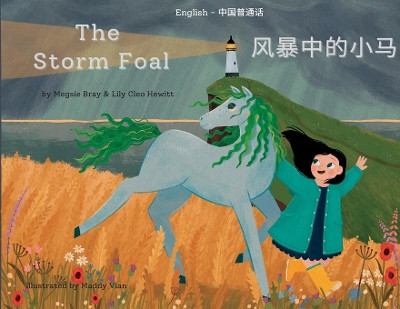 The Storm Foal: 风暴中的小马 by Megsie Bray 9781739944254
