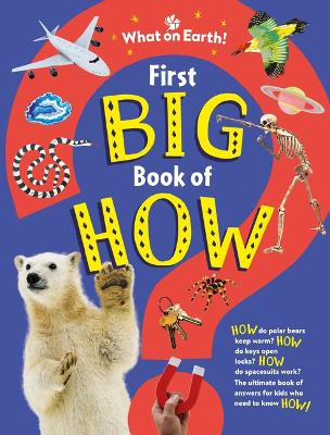 First Big Book of How: How Do Polar Bears Keep Warm? How Do Keys Open Locks? How to Spacesuits Work? the Ultimate Book of Answers for Kids Who Need to Know How! by Sally Symes 9781804661192