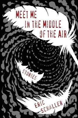 Meet Me in the Middle of the Air by Eric Schaller 9781590217719