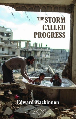 The Storm Called Progress by Edward Mackinnon 9781912524242