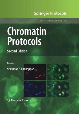 Chromatin Protocols by Srikumar P. Chellappan 9781493956265