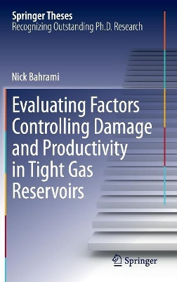 Evaluating Factors Controlling Damage and Productivity in Tight Gas Reservoirs by Hassan Bahrami 9783319024806