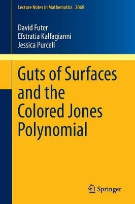 Guts of Surfaces and the Colored Jones Polynomial by David Futer 9783642333019