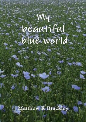 My Beautiful Blue World by Matthew R Brackley 9781291801293