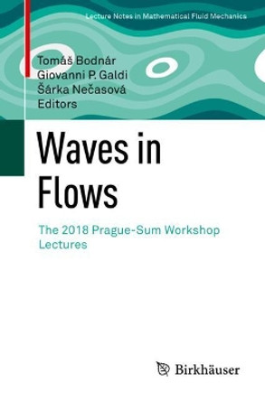Waves in Flows: The 2018 Prague-Sum Workshop Lectures by Tomas Bodnar 9783030681432