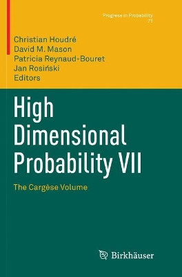 High Dimensional Probability VII: The Cargese Volume by Christian Houdre 9783319821214