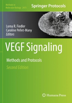 VEGF Signaling: Methods and Protocols by Lorna R. Fiedler 9781071622193