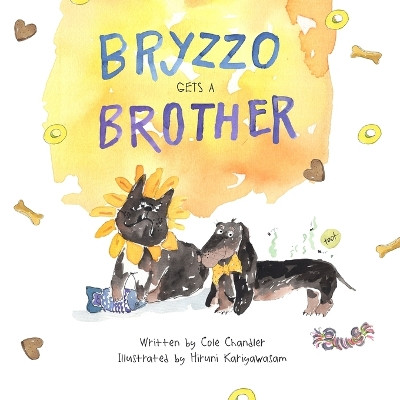 Bryzzo Gets a Brother by Cole J Chandler 9798869222268