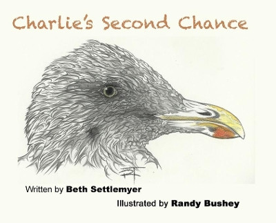 Charlie's Second Chance by Beth M Settlemyer 9781549732928