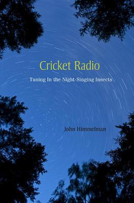 Cricket Radio: Tuning In the Night-Singing Insects by John Himmelman