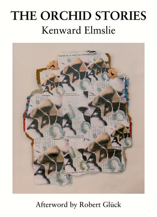 The Orchid Stories Kenward Elmslie 9781068758614