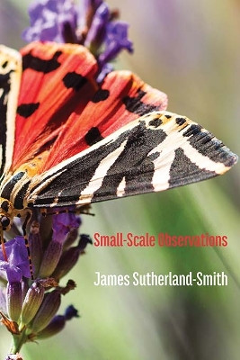 Small-Scale Observations by James Sutherland-Smith 9781848618473