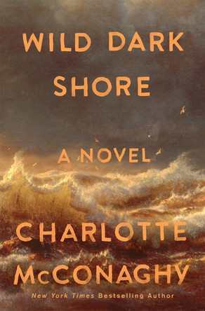 Wild Dark Shore Charlotte McConaghy 9781250827951
