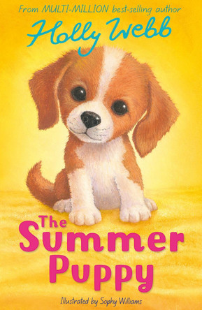 The Summer Puppy Holly Webb 9781788957588