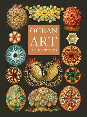 Ocean Art: From the Shore to the Deep Helen Scales 9781836390985