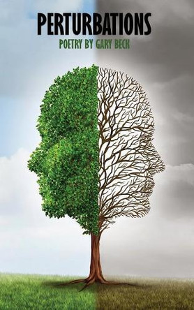 Perturbations by Gary Beck 9781941058701