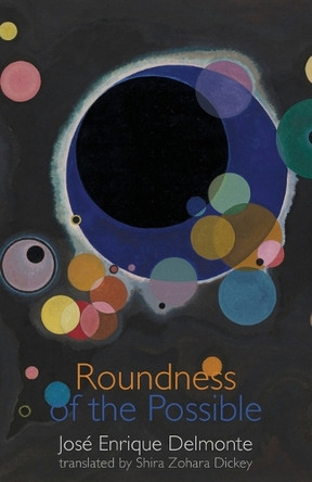 Roundness of the Possible by José Enrique Delmonte 9781952335808