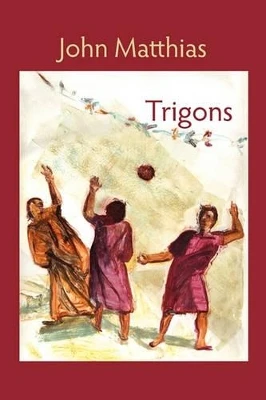 Trigons by John Matthias 9781848611252